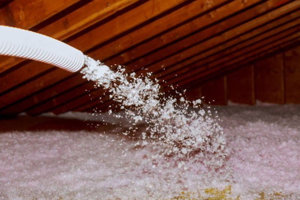 Best Specialized Insulation Services in Gibson, AR