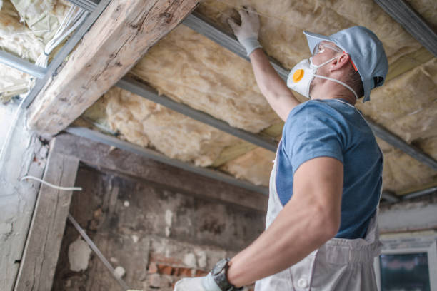 Best Insulation for Specific Applications in Gibson, AR
