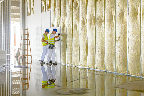 Best Insulation Maintenance and Repair in Gibson, AR